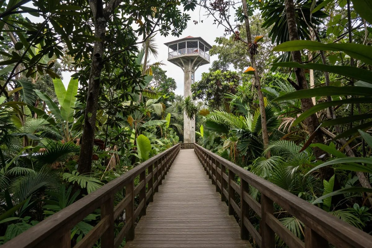 Metro Forest Learning Center (Pa Nai Krung)